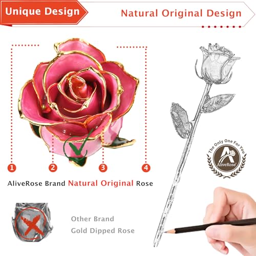 AliveRose Gold Plated Rose, 24K Gold Dipped Rose with Crystal Vase - Unique Design for Anniversary, Valentines, Mothers Day, Birthday Gifts - color: 5. Pink Original Rose With Crystal Vase