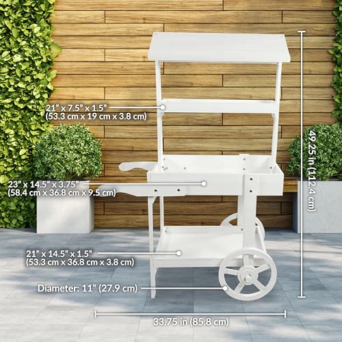Sunnydaze Country Market Flower Cart Display Stand with Wheels - 2 Shelves - Fir Wood - 30 lb Weight Capacity - Natural Fir - color: Natural Fir