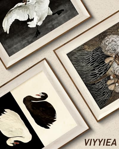 VIYYIEA Framed Wall Art for Living Room, Swan Canvas Prints, Vintage Home Decor, Animals Painting Picture, Bathroom Wall Decor Gifts for Friends or Family - 12L x 10W - color: Animals-【Black and White】, size: 12"L x 10"W