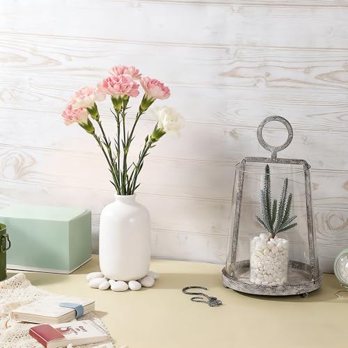 9" Wide Modern Farmhouse Metal Hurricane Candle Holder with Handmade Sturdy Glass Sleeve in Rustic Black for Pillar Candle & Plants, Glass Hurricane Lantern, Industrial, Minimalistic - color: Black Shabby, size: 9"x14"