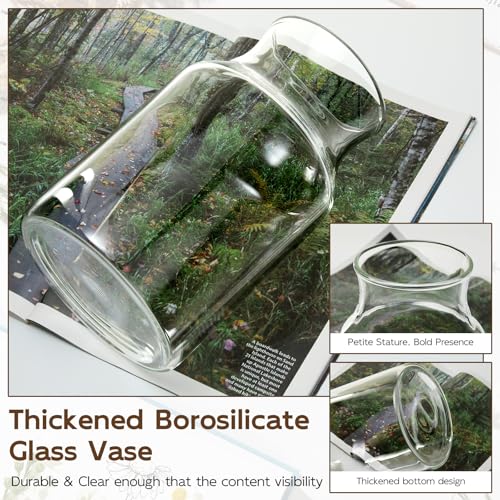Clear Glass Vase, 4.7x7.8-inch Glass Flower Vase for Plants, Wide Mouth Vase for Home, Wedding, Living Room, Dining Table - size: 4.7”Wx7.8"H