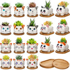 Cindeer 18 Pcs 2.5 Inch Cat Ceramic Succulent Planter Pots – Cute Cat Small Pots with Drainage Hole and Bamboo Tray for Succulents, Cactus, Home Garden Office Desk Decoration Gift Ideas - style: Cat