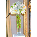 WGV Cylinder Vase, Diameter 5", Height 24", Clear Glass Floral Planter Container, Tall Centerpiece Arrangement for Wedding Party Event Home Office Decor, 1 Piece - size: 5"x24"H CL
