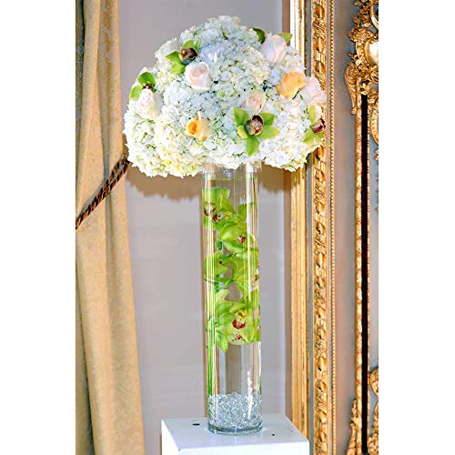 WGV Cylinder Vase, Diameter 5", Height 24", Clear Glass Floral Planter Container, Tall Centerpiece Arrangement for Wedding Party Event Home Office Decor, 1 Piece - size: 5"x24"H CL