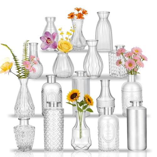 Glass Bud Vases in Bulk Set of 17, Transparent Clear Small Mini Vases for Flowers, Vintage Vase for Centepiece,Wedding, Table Decor, Baby Shower, Christmas, Home and Events - color: Transparent