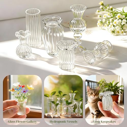 H&D HYALINE & DORA 6 Pcs Mini Glass Flower Vases Cat Whisker Vase Clear Miniature Ribbed Vases for Centerpieces, Wedding Reception Table Decorations(1.2-2.5 in)