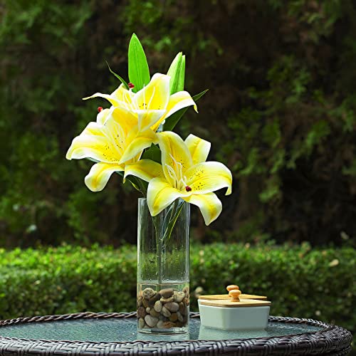 Enova Floral Cylinder Glass Vase - 6 x 12 Inches Round Large Flower Vase, Tall Pillar Candle Holder for Floating Candles and Flowers, Wedding Centerpiece (1 Piece) - size: 6H