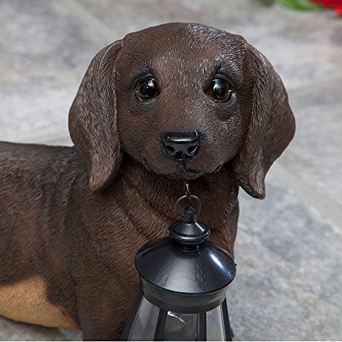 Bits and Pieces - Dog Solar Lantern Statue - Solar Powered Garden Lantern - Resin Dog Sculpture with LED Light - Outdoor Lighting and Décor (Dachshund) - style: Dachshund