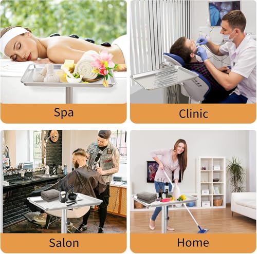 Salon Tray, Salon Color Tray with Adjustable Height, Metal Feet Tray on Wheels, Ideal Use As Tattoo Tray＆Dental Tray - color: Silver