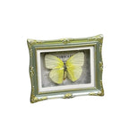 1Pcs Real Butterfly Framed Handmade, Taxidermy Butterfly Shadow Box Collection, Framed Butterfly Taxidermy for Oddities and Curiosities Gifts Tabletop Ornaments (E-Butterfly Specimen+Photo Frame) - color: E-butterfly Specimen+photo Frame