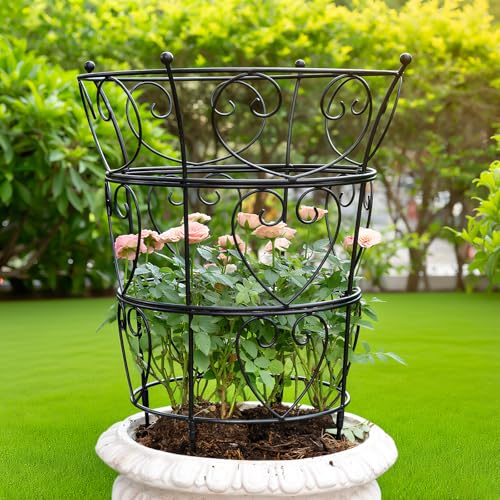 Large Obelisk Trellis Peony Cage 24.6x17 Inches - Premium Metal Plant Support for Outdoor Gardens, Easy Assembly, Sturdy Design, Perfect for Climbing Plants - size: 24.6"x17"
