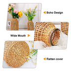MDEOOSKY Straw Woven Glass Vase 10.25''X3.93''X5.52''Boho Glass Flower Vase Country Rustic Style Vase Glass Vase for Floral Arrangements Bottle Height (B Style 10.25IN) - size: 10.25IN