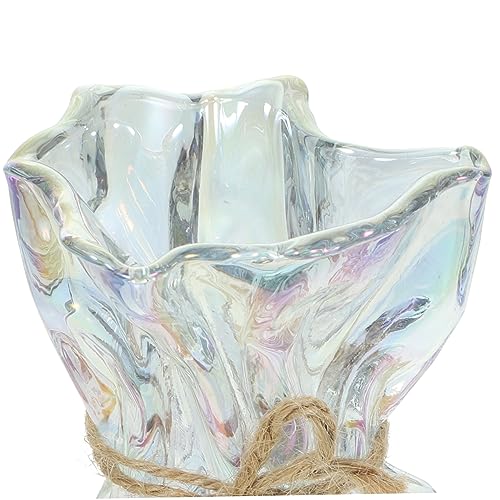 Ipetboom Abstract Irregular Shaped Glass Vase Decorative Art Planter for Home Office Garden Unique Minimalist Flower Container for Kitchen Dining Accent