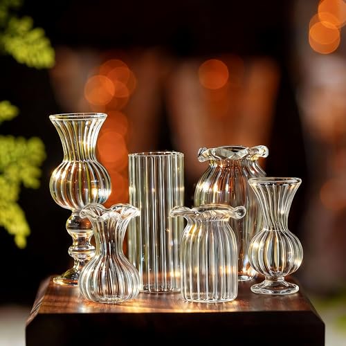 H&D HYALINE & DORA 6 Pcs Mini Glass Flower Vases Cat Whisker Vase Clear Miniature Ribbed Vases for Centerpieces, Wedding Reception Table Decorations(1.2-2.5 in)