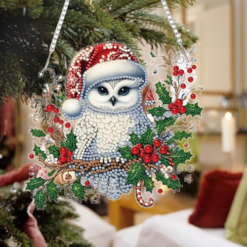 Auremi Christmas Diamond Art Painting Pendant Kits with Chain,5D Owl Diamond Art Hanging Kit DIY Diamond Crystal Window Door Hanging Pendant Kit for Adults Gift Wall Decor - color: Owl