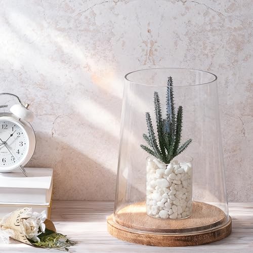 8" Wide Glass Hurricane Candle Holders with Handmade Sturdy Glass Sleeves and Vintage Natural Wood Base for Pillar Candle & Plants, Industrial, Farmhouse, Display Cloche Bell Jars, Table Centerpiece - color: Vintage Natural, size: 8.5"x11"