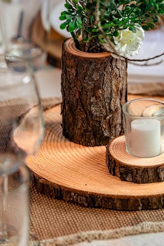 Set of (16) 11-13 inch Large Wood Slices for centerpieces! Wood Slice centerpieces, Wood Rounds, Tree Slices (11-13 inch Set of 16) - size: Set of 16 Large (11-13")