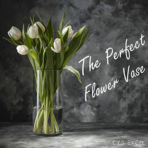 CYS EXCEL (H:12" D:6") Large Cylinder Clear Glass Vase for Wide Bouquet Flower Vase Centerpieces Display Hurricane Floating Candle Holder - size: H-12" D-6"