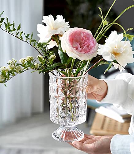 BLOFLO Embossed Glass Vase, 7'' Crystal Glass Vases for Flowers, Pedestal Big Base Glass Bouquet Vase, Hydroponic Glass Transparent Vase for Home Office Wedding Dining Table Party - color: Diamond Pattern