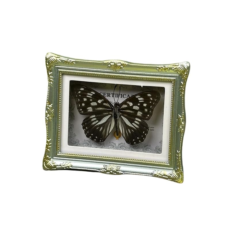 1Pcs Real Butterfly Framed Handmade, Taxidermy Butterfly Shadow Box Collection, Framed Butterfly Taxidermy for Oddities and Curiosities Gifts Tabletop Ornaments (I-Butterfly Specimen+Photo Frame) - color: I-butterfly Specimen+photo Frame