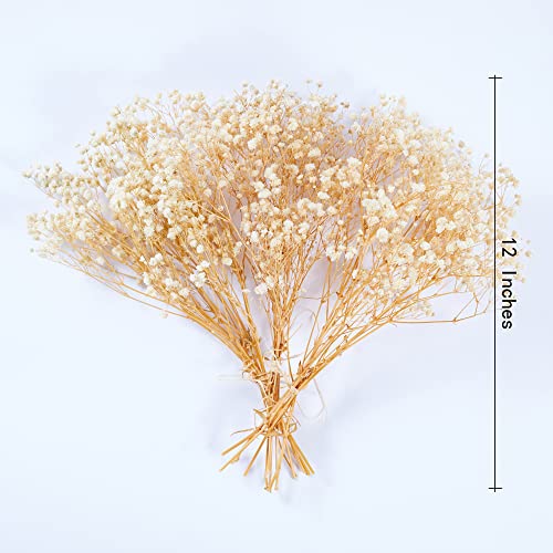 Preserved Baby's Breath 3 Bunches, 100% Natrual Fresh Gypsophila Long Lasting Flowers for Vase Arrangements Home Decoration Photo Props Parties and Weddings, DIY Décor-White - color: White