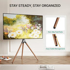 Artistic Easel TV Stand for 43-65 Inch TVs, 180° Swivel Tripod TV Stand up to 88 lbs, Floor TV Mount with Cable Management for Bedroom, Living Room and Corner, Max VESA 600x400mm, Black Walnut