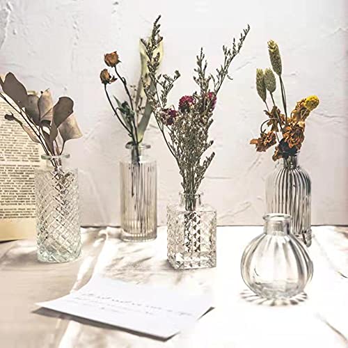 Mini Clear Glass Vase,Small Flower Bud Vase Hydroponics Planter Decorative for Flower,Table,Party,Home,Centerpieces(Clear 8) - color: Clear 8