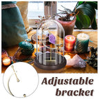 Beeveer 5" x 8" Pocket Watch Glass Display Dome Cloche with Gold Sphere Holder and Wooden Base Pocket Watch Display Case Showcase Bell Terrarium Jar for Ornaments Plants Medals Photos Collectibles