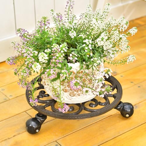 Sungmor Heavy Duty Cast Iron Plant Caddy,11" Round Potted Plant Stand Flower Pot Rack on 3 Solid Wheels,Indoor Outdoor Planter Holder Trolley Casters Rolling Tray - color: 1-Tier Caddy & 3.1Inch Tall