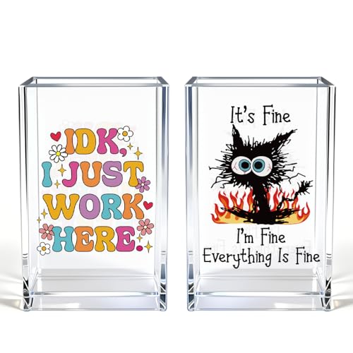 Funny Black Cat Work 2 Pack Acrylic Cosmetic Pencil Pen Holder Cup, Cute Office Pen Holder for Desk, Funny Work Burnout Gifts for Coworker Friend, Office Sarcastic Gifts for Women Colleague Boss - style: Work Fine 2