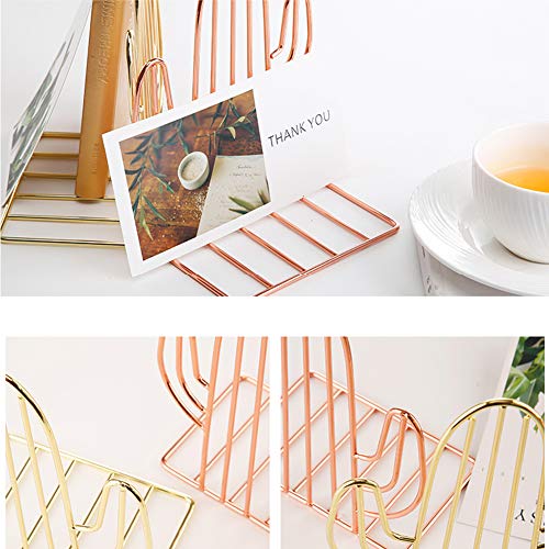 Winterworm Metal Bookends Book Ends Heavy Duty Modern Decorative for Bedroom Library Office School Book Display Desktop Organizer Gift (Cactus Rose Gold) - color: Cactus Rose Gold