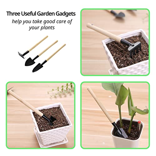 Plant Saucer, 7 Pack 8 10 12 14 15 Inch Durable Plastic Plant Trays for Pots, White & Black Round Plant Pot Saucers, Drip Tray for Indoor and Outdoor Garden (8", for 5 6 Inch Pot) - color: Black & White (8" x 7)