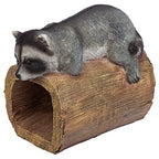 RAIDER THE RACCOON GUTTER GUARDIAN - style: Raider the Raccoon