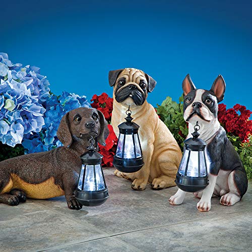 Bits and Pieces - Dog Solar Lantern Statue - Solar Powered Garden Lantern - Resin Dog Sculpture with LED Light - Outdoor Lighting and Décor (Dachshund) - style: Dachshund