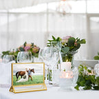 Acrylic Sign Holders Golden Border 8 Pack 6x4 Wedding Table Number Frames Double Sided Table Menu Stands with Horizontal Stand, Photos and Art Display