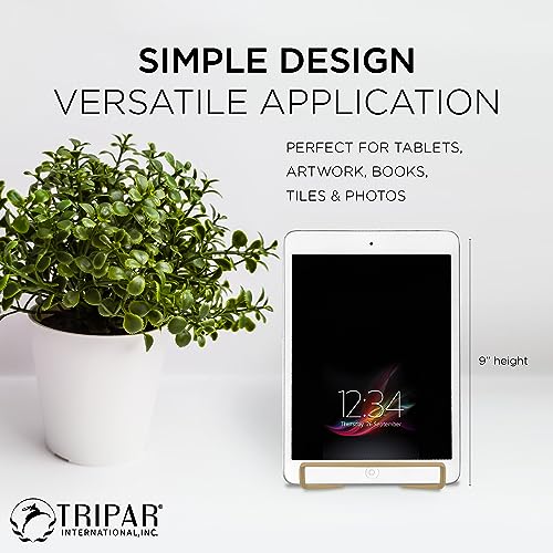 TRIPAR Square Metal Wire Stand, Gold Finish (2 Pack, 6-Inch Depth) - Tabletop Display - Handcrafted Edge Design For Sleek & Modern Look - Perfect for Kitchen Cookbooks, Plates, Photos & More
