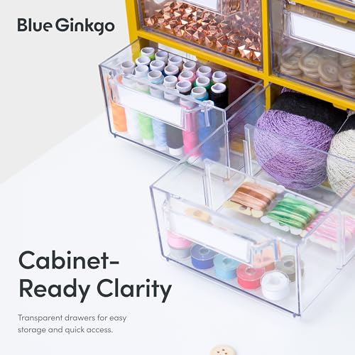 Blue Ginkgo Large 12-Drawer Cabinet – Stackable Clear Organizer for Hardware, Beads, Plastic Bricks, Office, and Craft Storage (Made in Korea, Blue) - color: BLUE, size: 12 Drawer