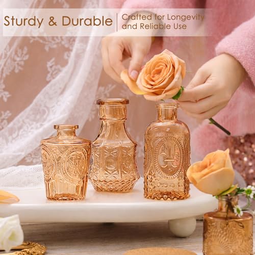 24 Pcs Glass Bud Vase Set, Small Glass Vases for Flowers, Mini Clear Bud Vases for Centerpieces, Wedding, Home, Office and Table Decoration, Amber - color: Amber, size: 24pcs