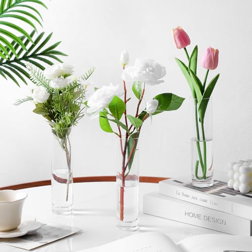 Clear Glass Cylinder Bud Vases,Small Clear Skinny Single Flower Vase for Centerpieces - Minimalist Bulk Vases for Wedding Birthday Bridal Shower Party Events Table Decor (6)
