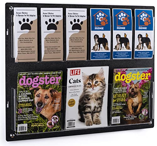 Displays2go Tiered Brochure Rack for Wall, 6-12 Adjustable Pockets, Frameless Acrylic - Black (2RP6BLK) - color: Black, size: 6 Pockets
