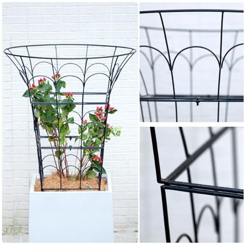 COOOXIM 27.5 x 22 Inches Peony Cages & Supports - Heavy Duty Metal Plant Obelisk Trellis for Outdoor Use, Perfect for Peonies, Roses, and Climbing Vines - Durable Garden Support Ring in M Shape - size: 27.5"x22"