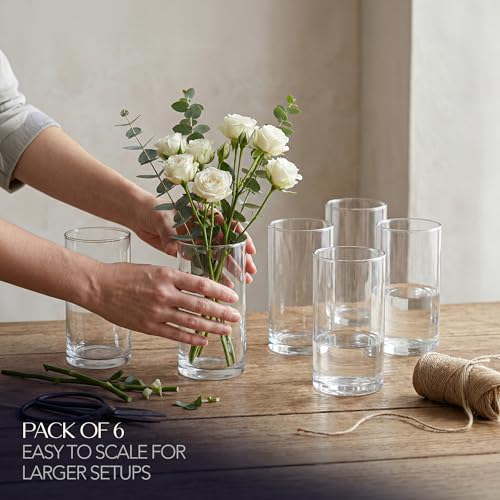 Glass Cylinder Flower Vase Centerpieces for Tables 3"x 6" Tall (5.3" Usable Depth) Set of 6 -Glass Vase Candle Holders Wedding Decor Vases for Centerpieces, Home & Event Decorations - Royal Imports - size: 3" wide x 6" tall - Set of 6