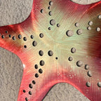 LiveInUrban Coastal Wall Art Starfish Metal Wall Sculptures, Ocean Beach Themed Metal Hanging Home Decoration 3PCS 15.6"x12.7" - color: starfish
