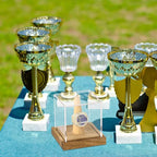 Hooqict Championship Ring Display Case Clear Acrylic Ring Case Display Box UV Protected with Wood Base Stand for Sports Baseball Basketball Softball Football Single Ring Holder Coin Stand - size: 1 Pack