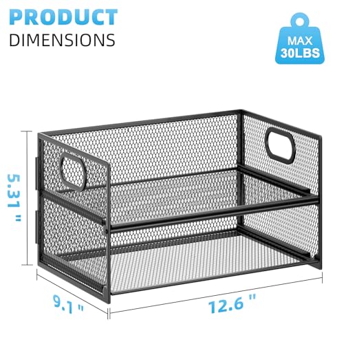 Marbrasse 2 Tier Paper Organizer Letter Tray, Mesh File Organizer with Handle, Paper Sorter Desk Organizer for Home Office Supplies - Black - color: 2 Tier Black