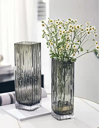Modern Minimalist Glass Square vase, Crystal Glass vase, vase, Dry vase (Grey) - color: Gray