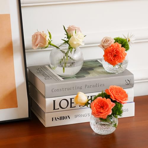 32 Pack Glass Bubble Vases, Small Clear Bud Vases (3 Textures 2 Sizes) Round Mini Globe Bubble Bowl Vases Bulk for Table Centerpieces, Candle Holders, Wedding Event & Home Decor