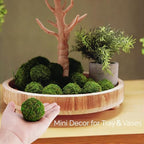 BYHER Natural Green Moss Decorative Ball,Handmade (2"-Set of 12) - size: Small-2"-Set of 12