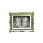 1Pcs Real Butterfly Framed Handmade, Taxidermy Butterfly Shadow Box Collection, Framed Butterfly Taxidermy for Oddities and Curiosities Gifts Tabletop Ornaments (M-Butterfly Specimen+Photo Frame) - color: M-butterfly Specimen+photo Frame