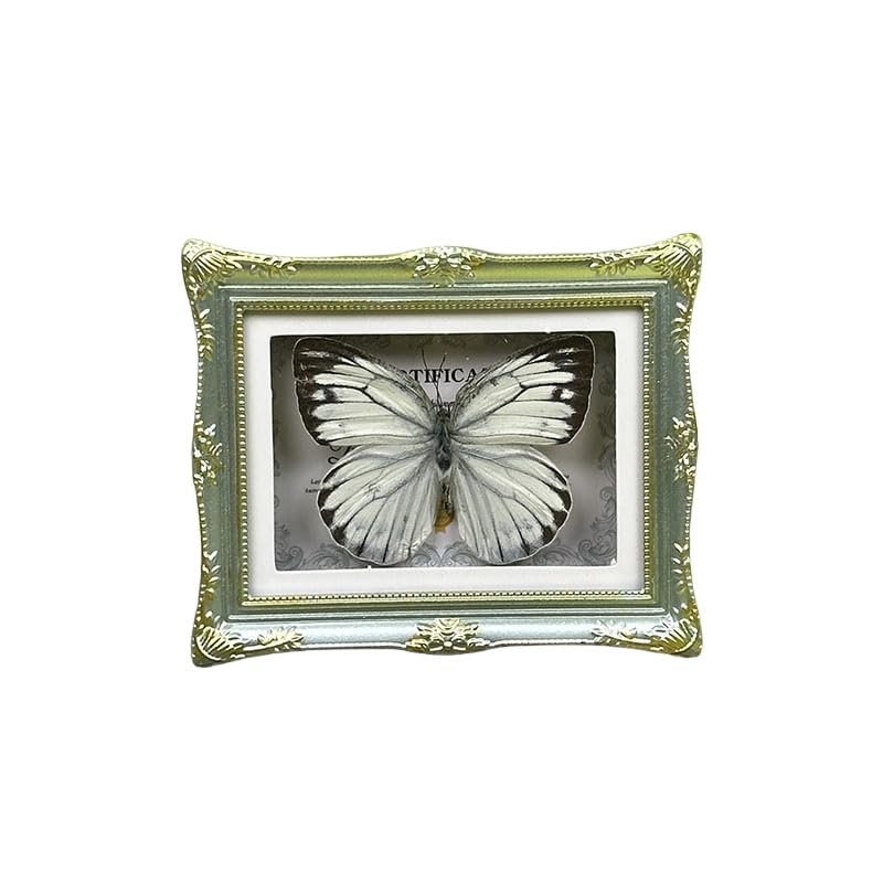 1Pcs Real Butterfly Framed Handmade, Taxidermy Butterfly Shadow Box Collection, Framed Butterfly Taxidermy for Oddities and Curiosities Gifts Tabletop Ornaments (M-Butterfly Specimen+Photo Frame) - color: M-butterfly Specimen+photo Frame